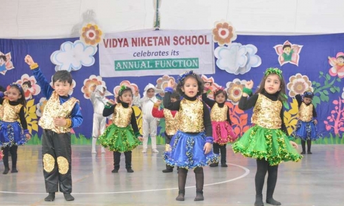 Vidya Niketan School 8