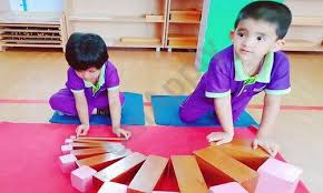 Brainy Stars International Holistic Montessori And School campus 6