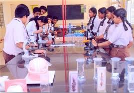 Bright Public School campus 6