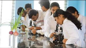 Paripoorna Prajna International School campus 6