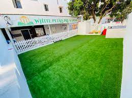 White Petals School 10