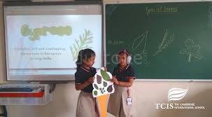 The Cambridge International School - TCIS Whitefield 9