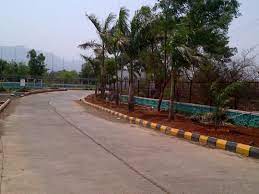 Liberty World Academy 5