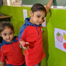 Primrose Lumens Education 6