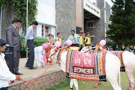 Sharad Pawar International School 6