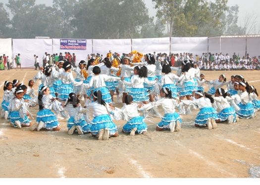 Army Public School 5