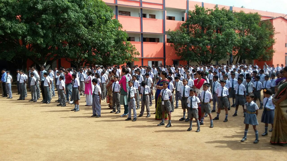 Cambridge School 4