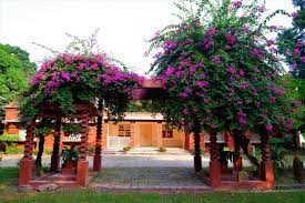 Rajghat Besant School 5