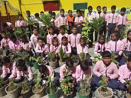 Happy Children Public School campus 4