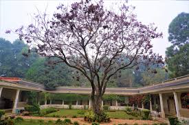Rajghat Besant School 2
