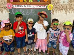 Marigold Public School campus 2