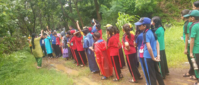 A.P. International School 4