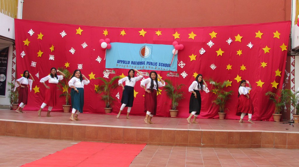 Appollo National Public School 4