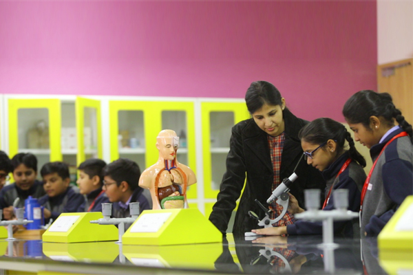 Witty International School 8