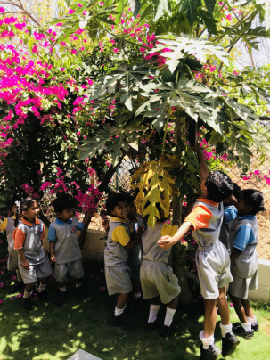 Nation Builders School campus 2