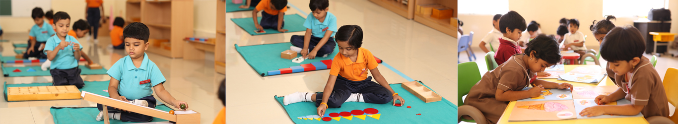 National Public School 3