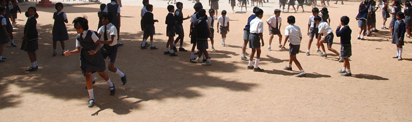 New Millennium School 2
