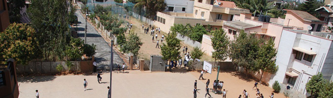 New Millennium School 5