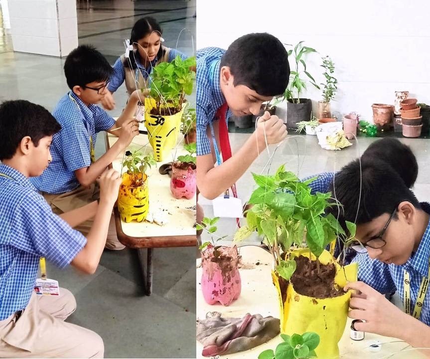Rustomjee International School And Junior College campus 2