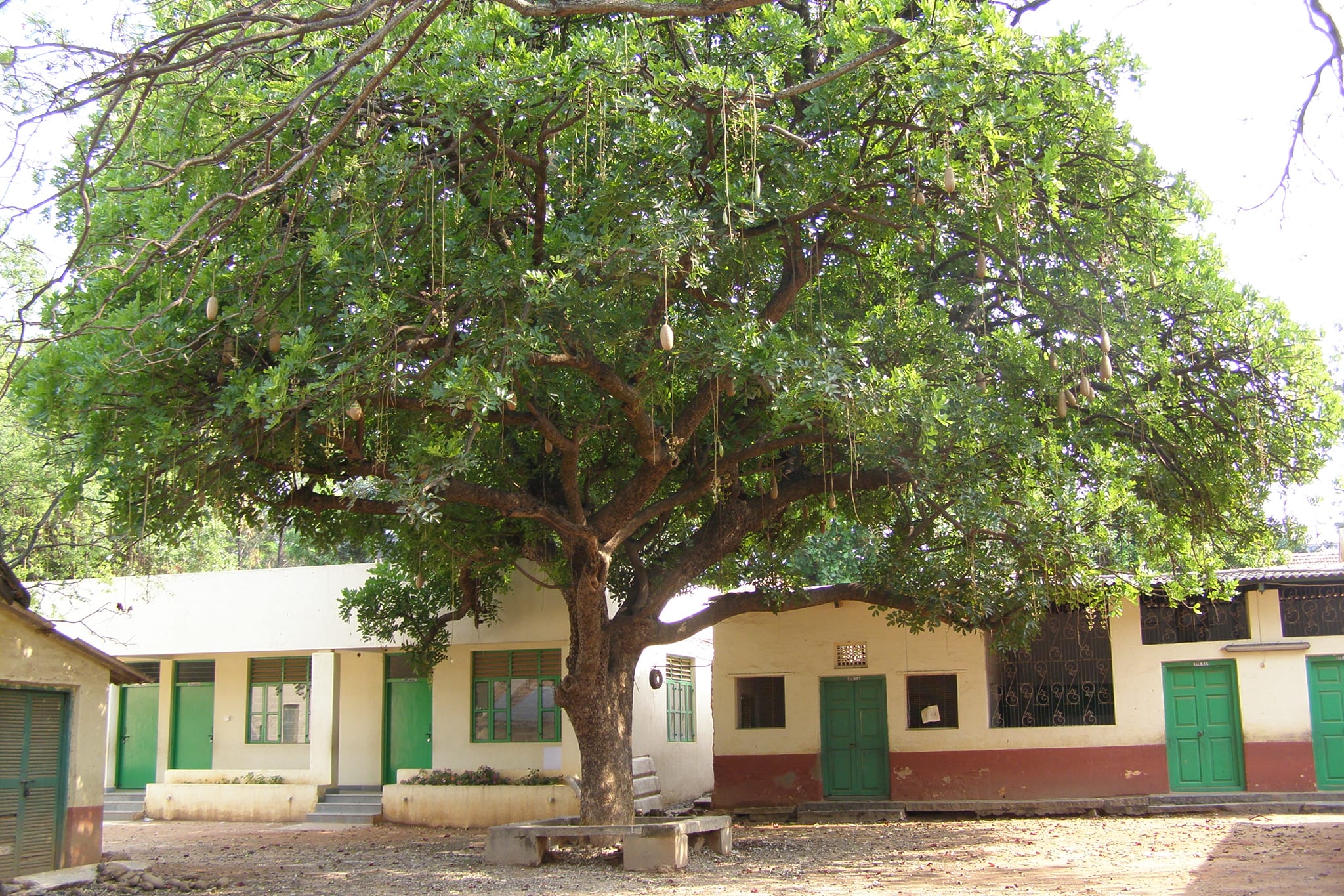Tunbridge High School campus 4