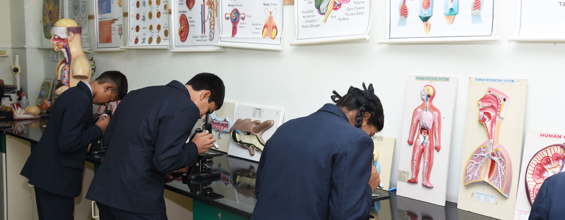Young Scholars Academy 4
