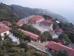 Wood Stock School 3