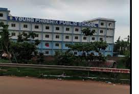 Young Phoenix Public School 3