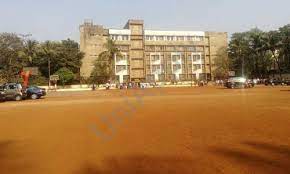 DAV Public School 8