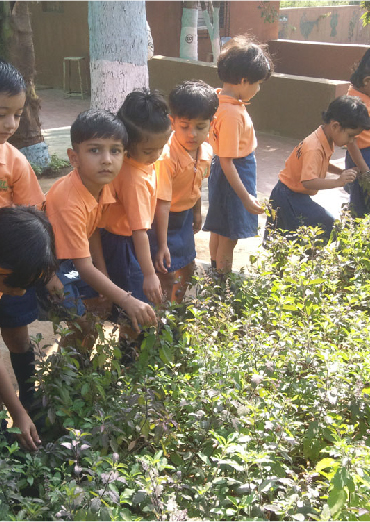 Sanskar Public School 3