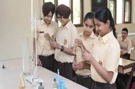 The Punjab Public School 4
