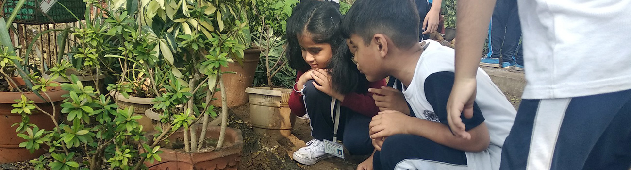 Smt. Sunitidevi Singhania School 4