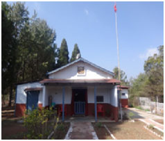 Assam Rifles Public School 13