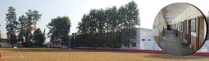 Summerfield School 6