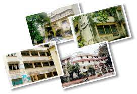 USM'S Vidyanidhi Junior College of Science campus 5