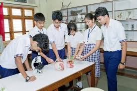 Vishwajyot High School 7