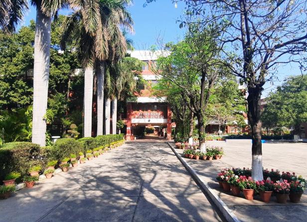 Yadavindra Public School 3