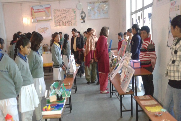 Gold Field Public School 2