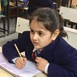 Gold Field Public School 27