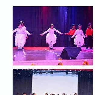 Gold Field Public School 20