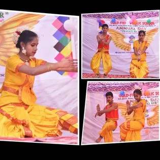Gold Field Public School 21