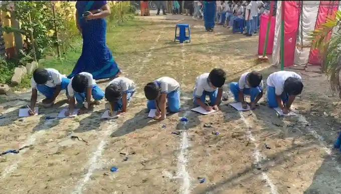 Ideal Step Public School 8