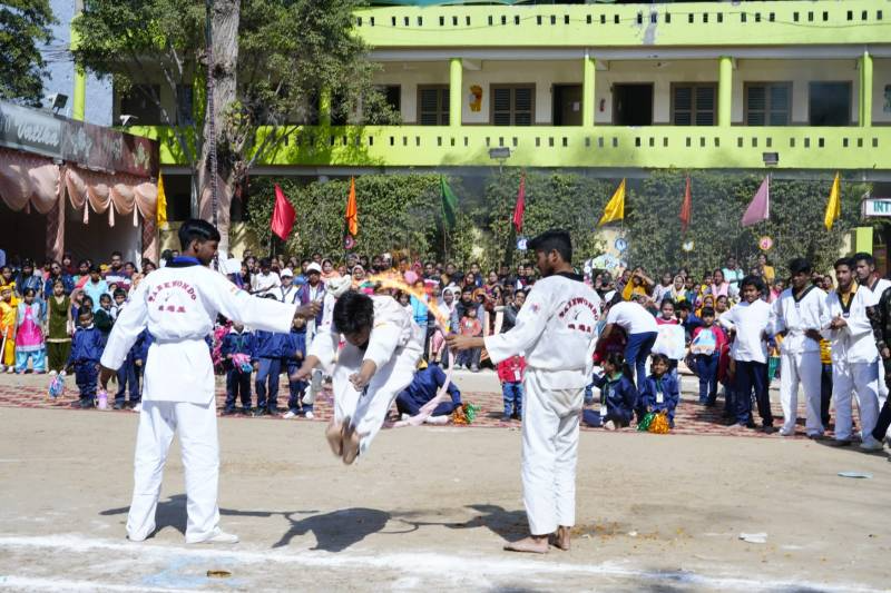International Delhi Public School campus 6