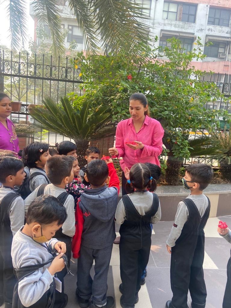 Maxfort School - Junior branch of: Maxfort School H Block 29