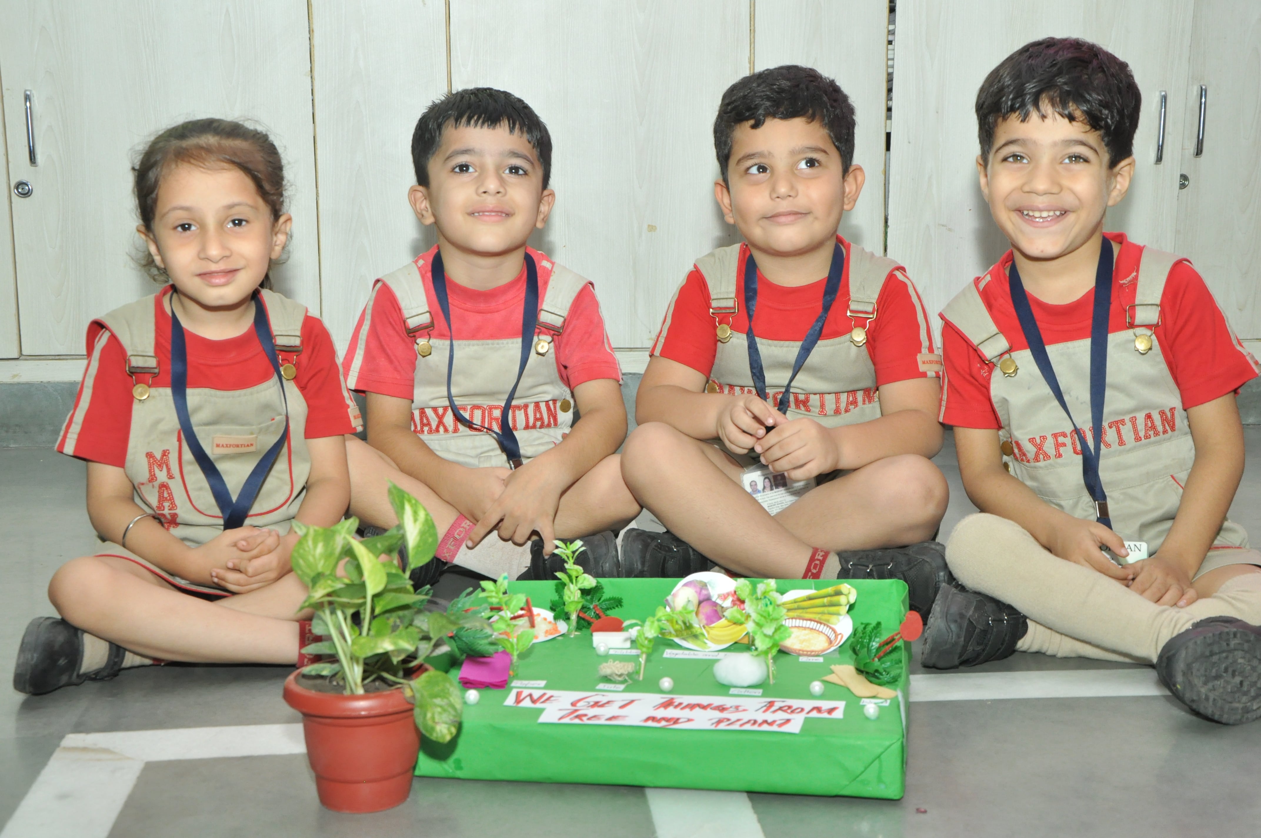 Maxfort School 6