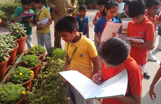 Delhi International School 3