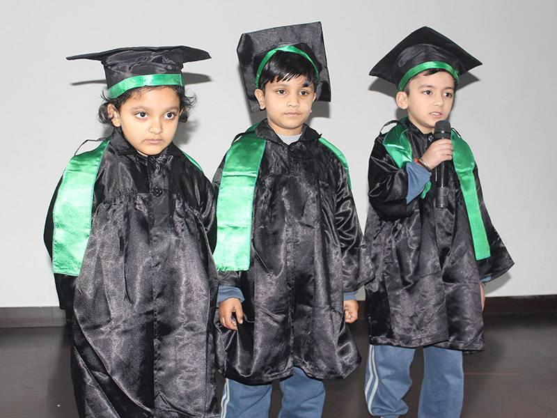 Delhi International School 8