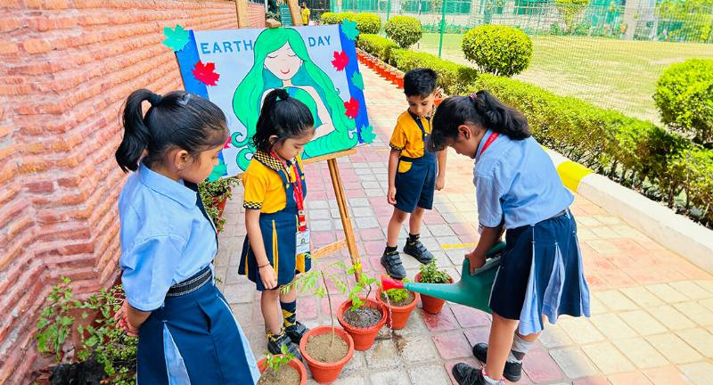 Delhi International School 11