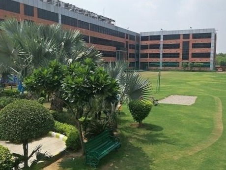 Delhi International School 2
