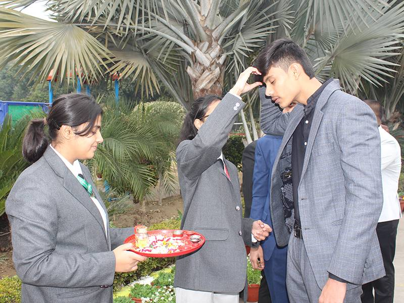 Delhi International School 7