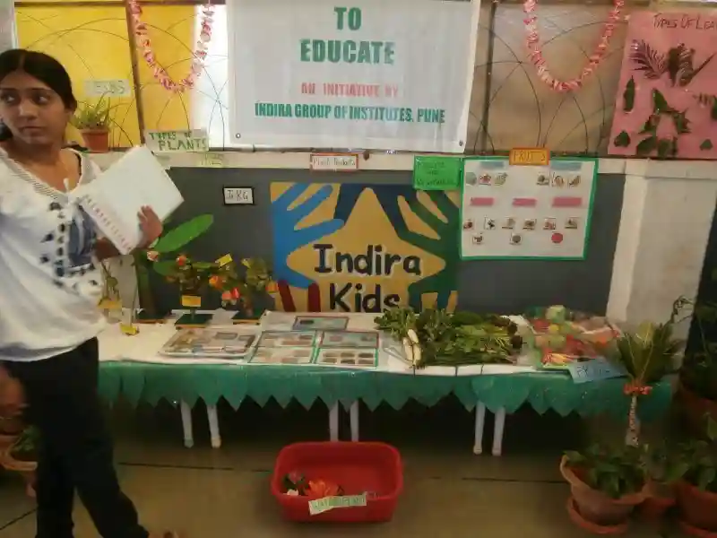 Indira Kids 12
